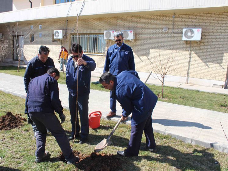 همایش روز درختکاری در نیروگاه زاگرس کوثر کرمانشاه برگزار گردید